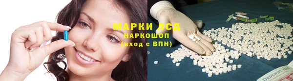 СК Кулебаки